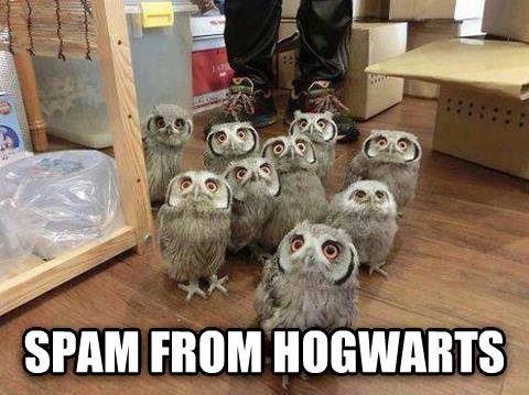 spam-from-hogwarts