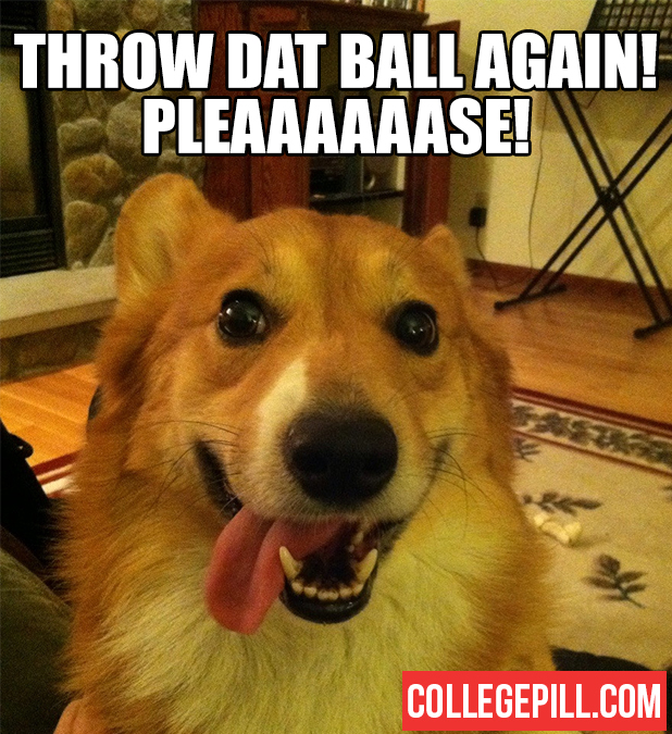 throw-dat-ball