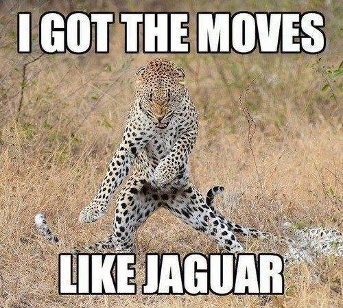 like-jaguar