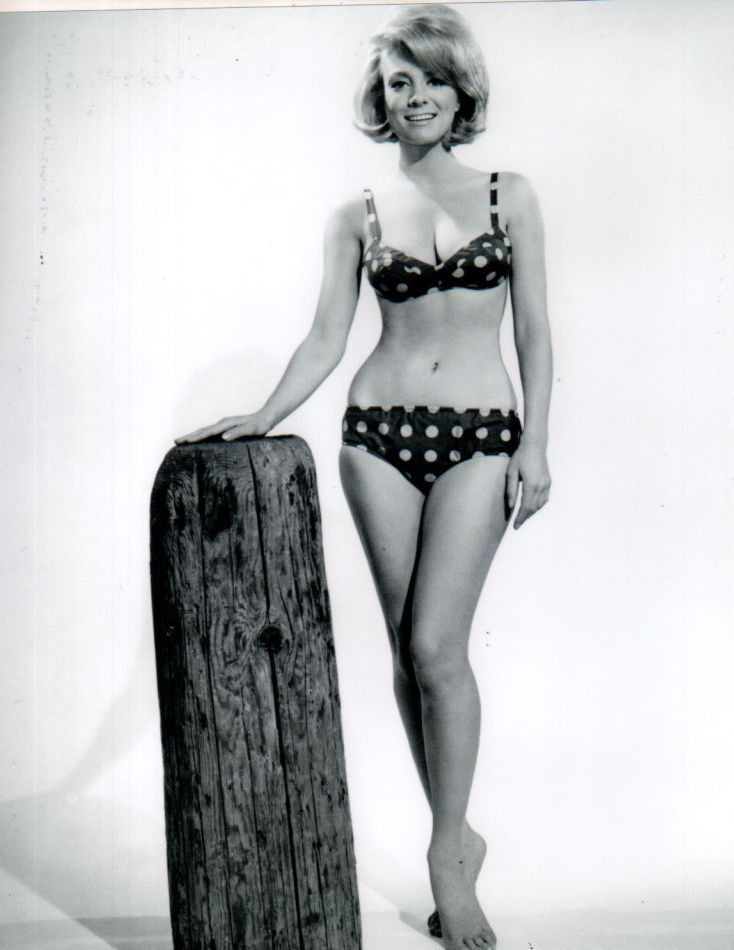 Inger Stevens 3