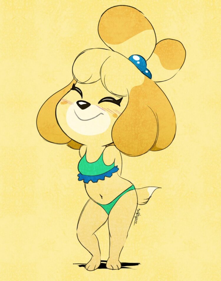 Isabelle 3