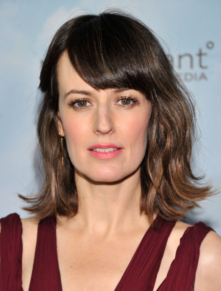 Rosemarie DeWitt 16