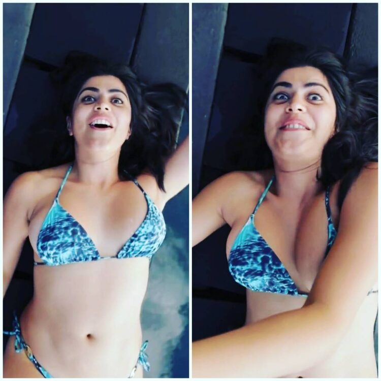 Shenaz Treasury 6