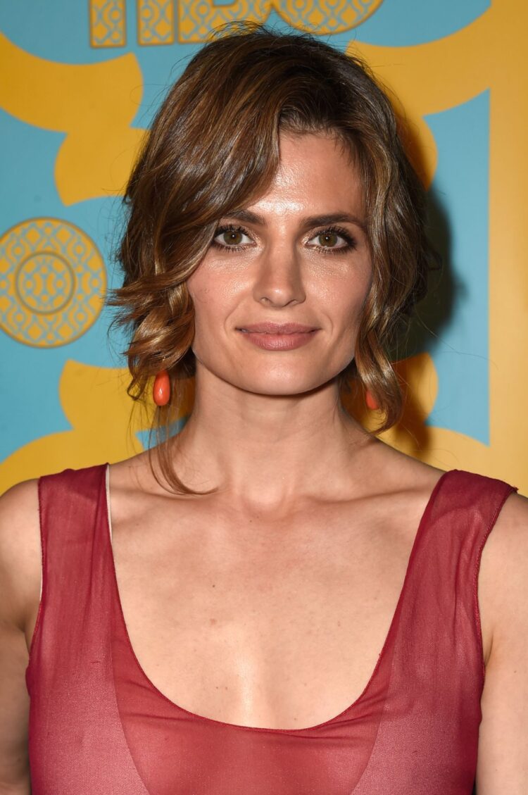 Stana Katic 9