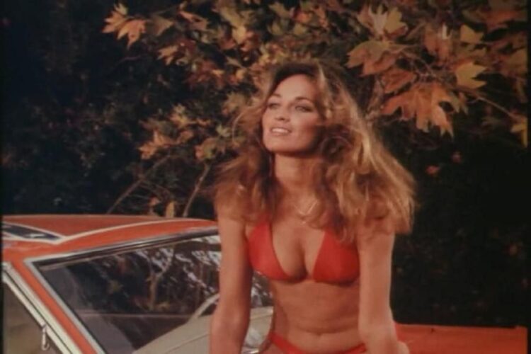 Catherine Bach 3