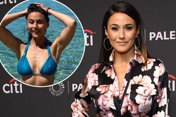 Emmanuelle Chriqui 10