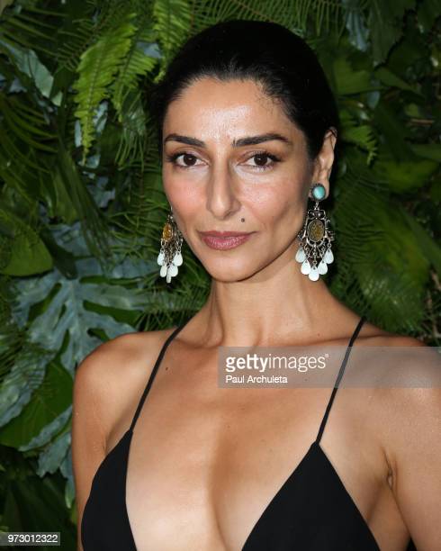 Necar Zadegan 7