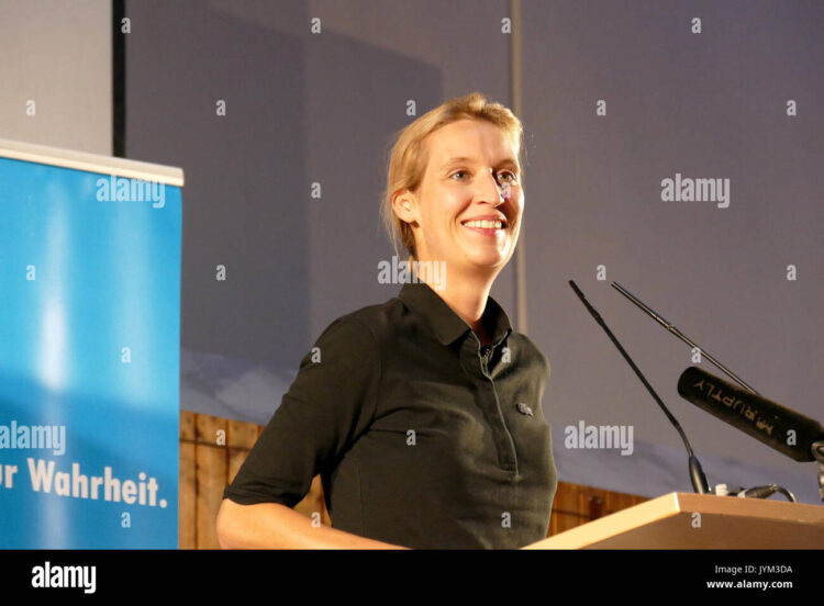 alice weidel 7