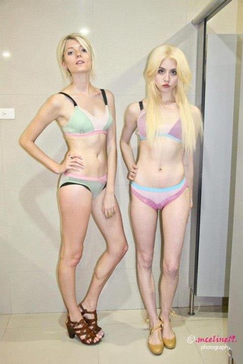 allison harvard 6