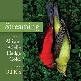 allison hedge coke 18