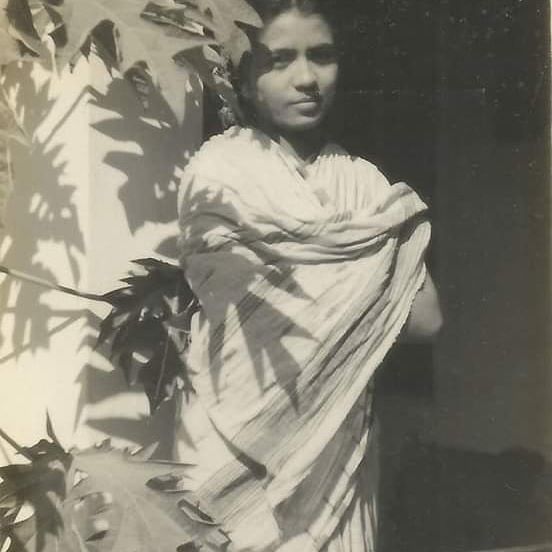 annapurna devi 3