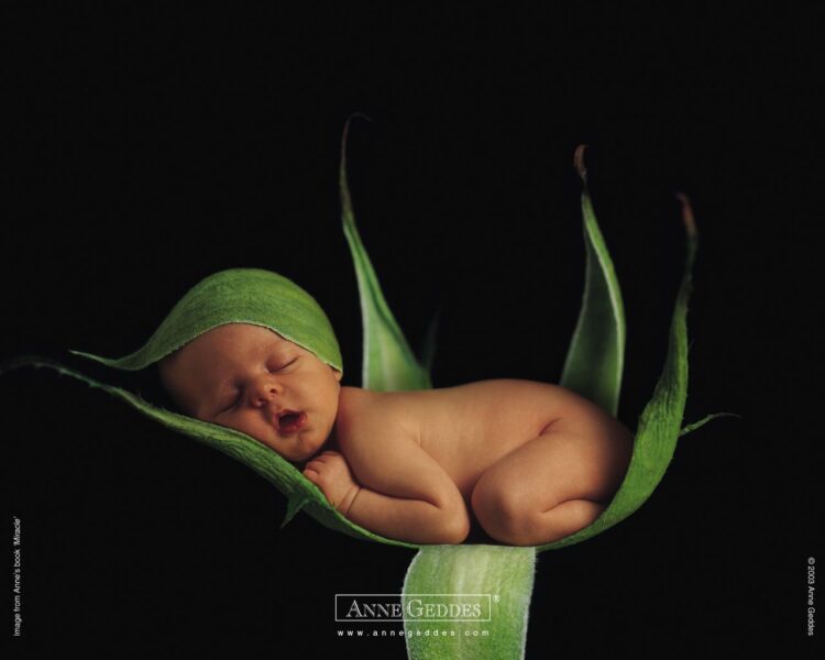 anne geddes 2