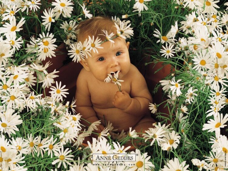 anne geddes 6