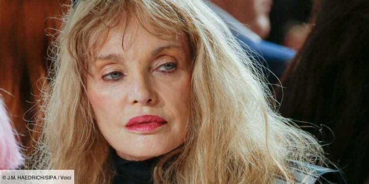 arielle dombasle 6