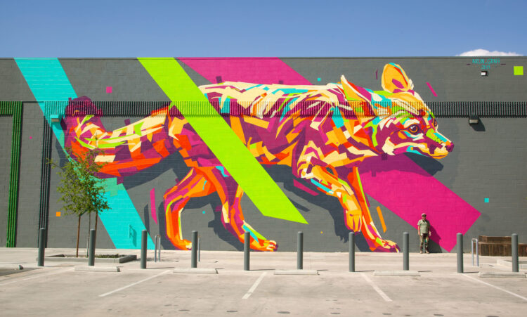 arlin graff 1