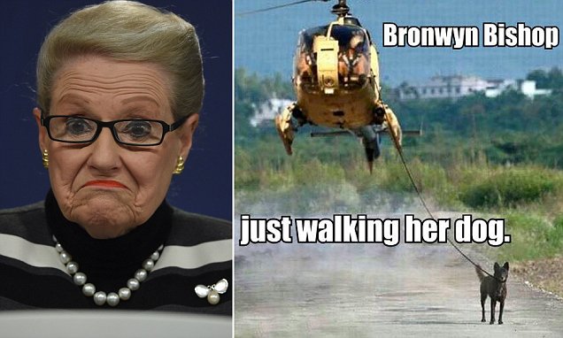 bronwyn bishop 4