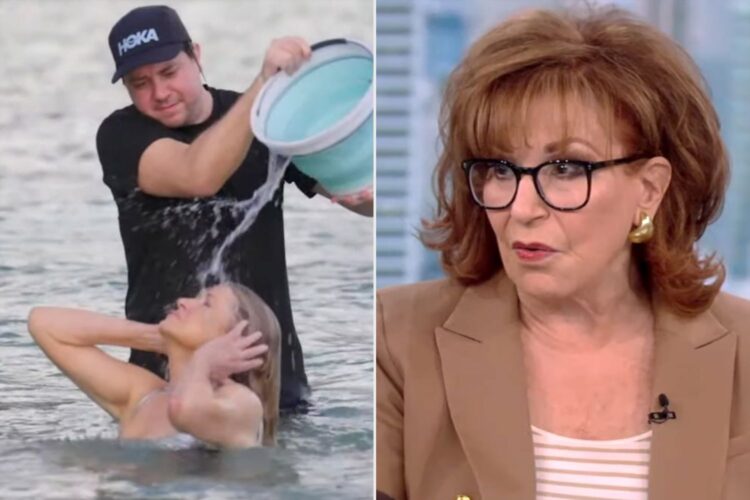 joy behar 5