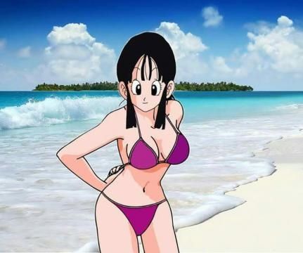 videl rodriguez