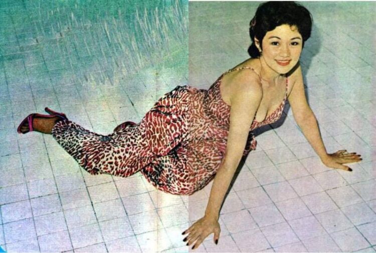 vilma santos 2