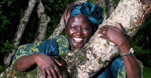 wangari muta maathai