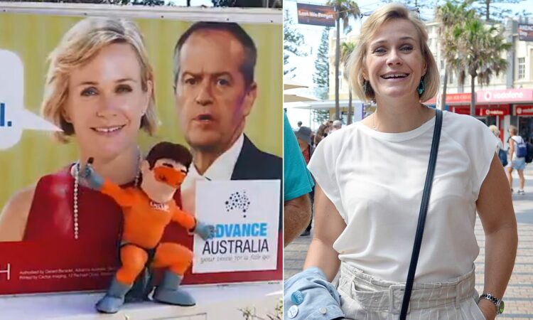 zali steggall