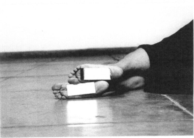 almeida ramlan feet 5