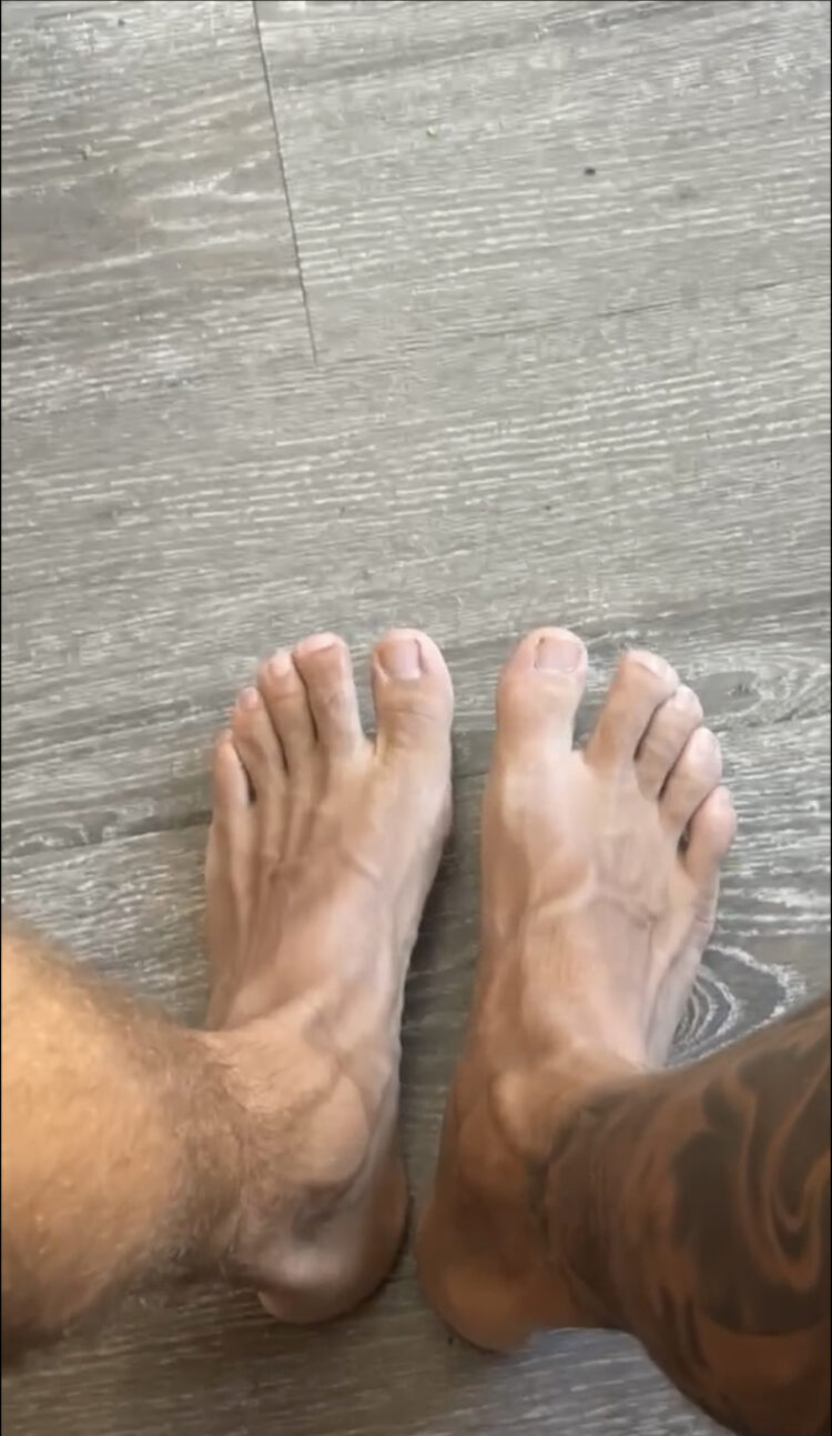 alwec feet 3