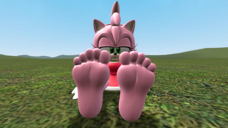 amy rose feet 1