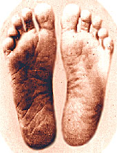 anandamayi ma feet