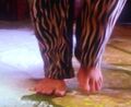 anna hutchison feet 5