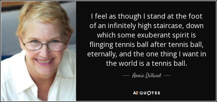 annie dillard feet 5