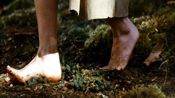 annie dillard feet