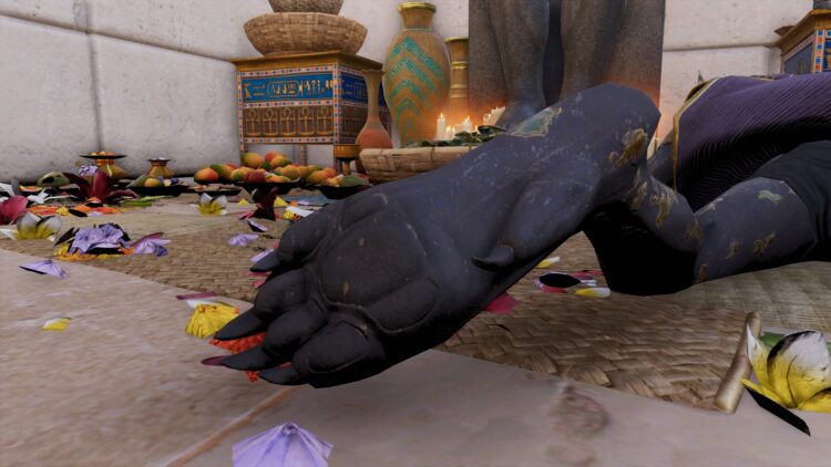 anubis feet