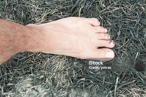 ash k feet 1