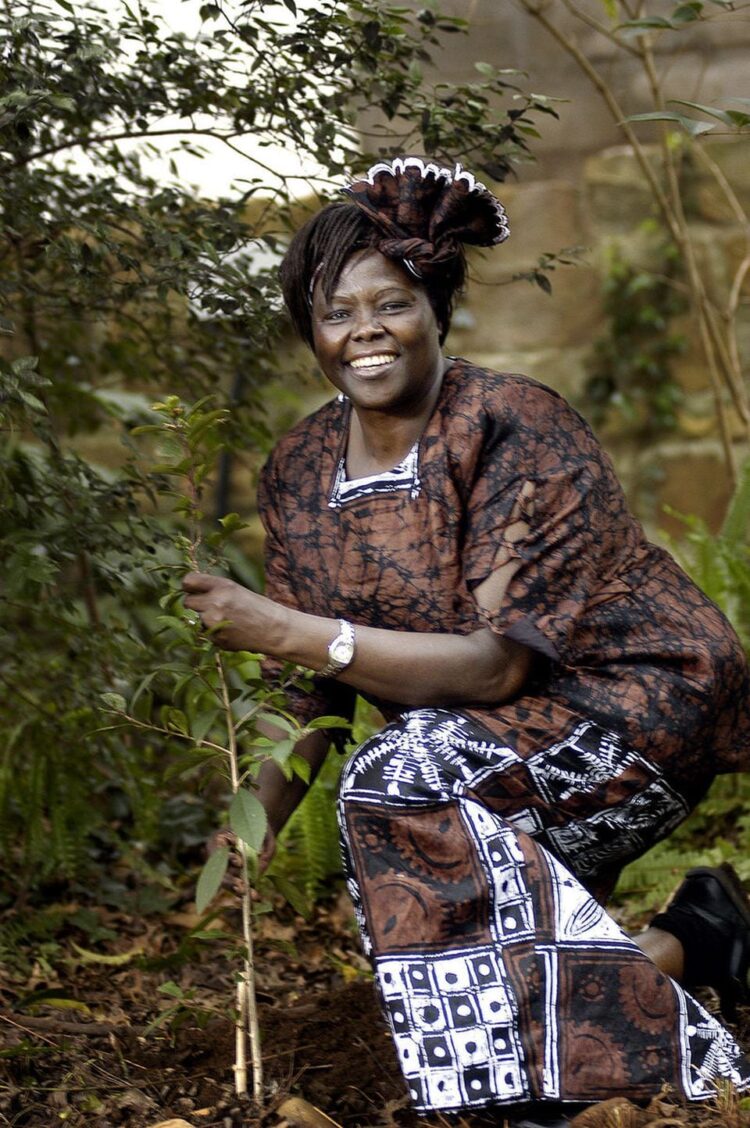 wangari muta maathai feet 1