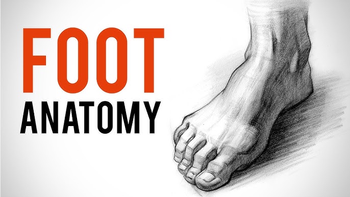 ways to study feet 5