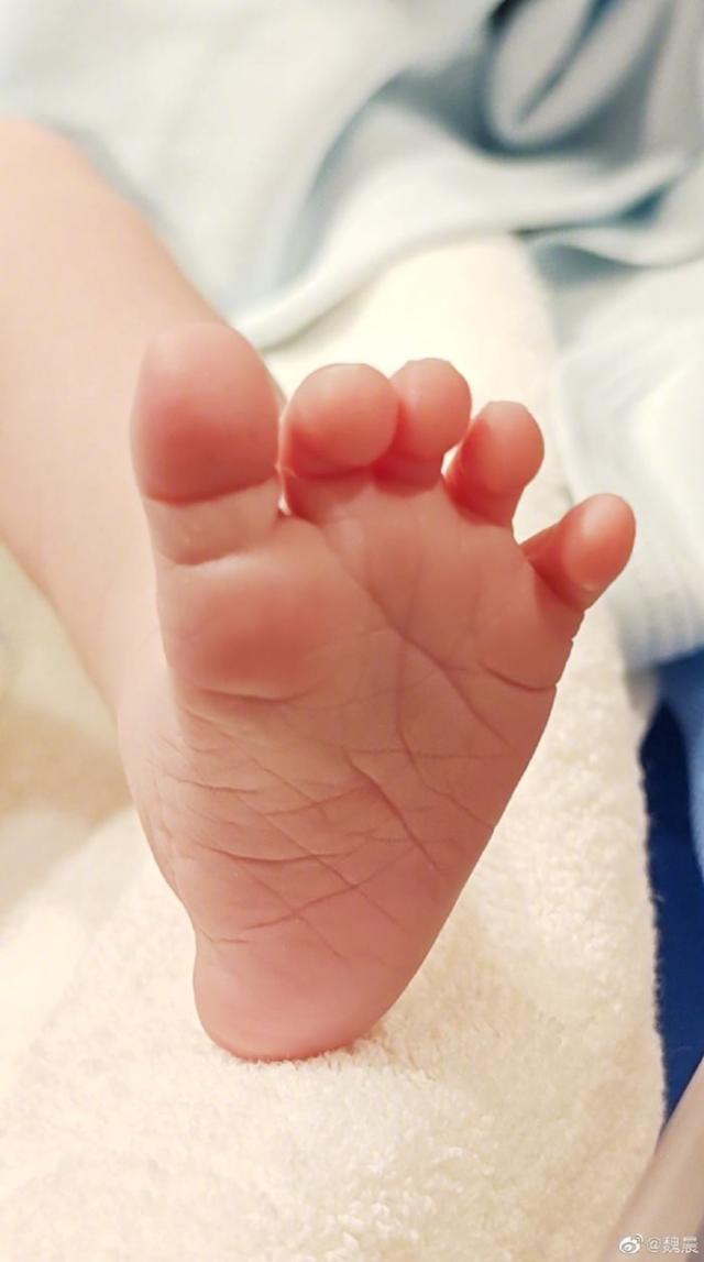 wei son feet 5