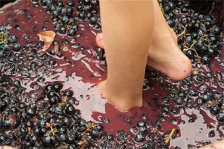 wine operator feet 2