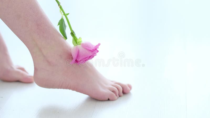 wyntir rose feet 3