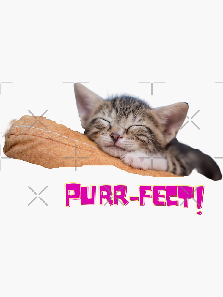 xpurr feet