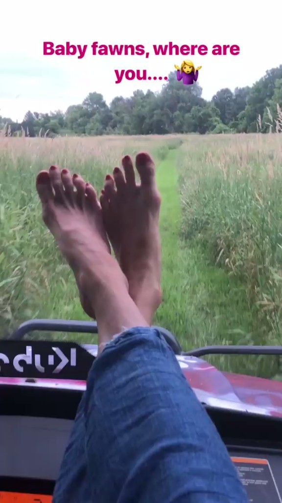 yolanda hadid feet 2