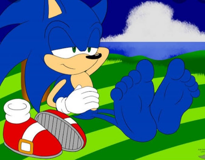 zonic feet 2