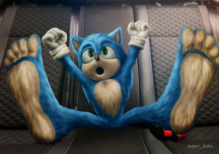 zonic feet